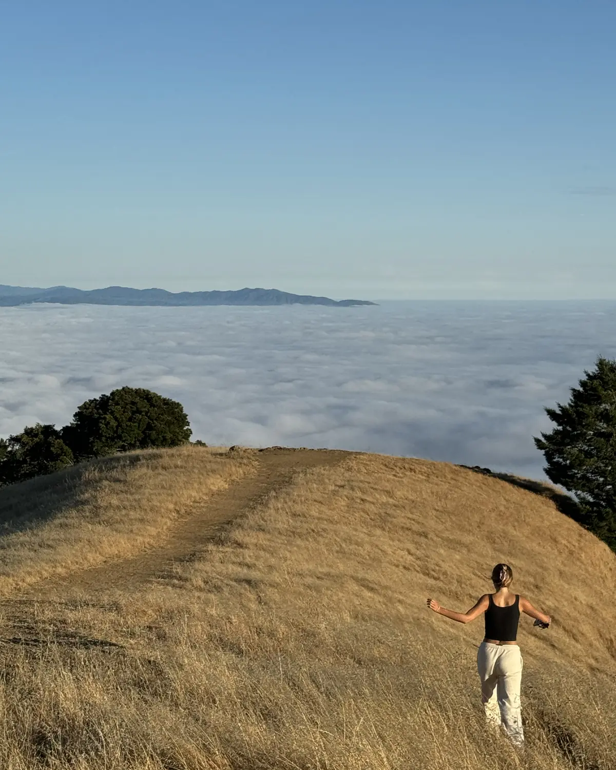 A teenager with arms out, walking down a golden grassy hill toward a sea of fog, with blue sky and distant hills beyond.