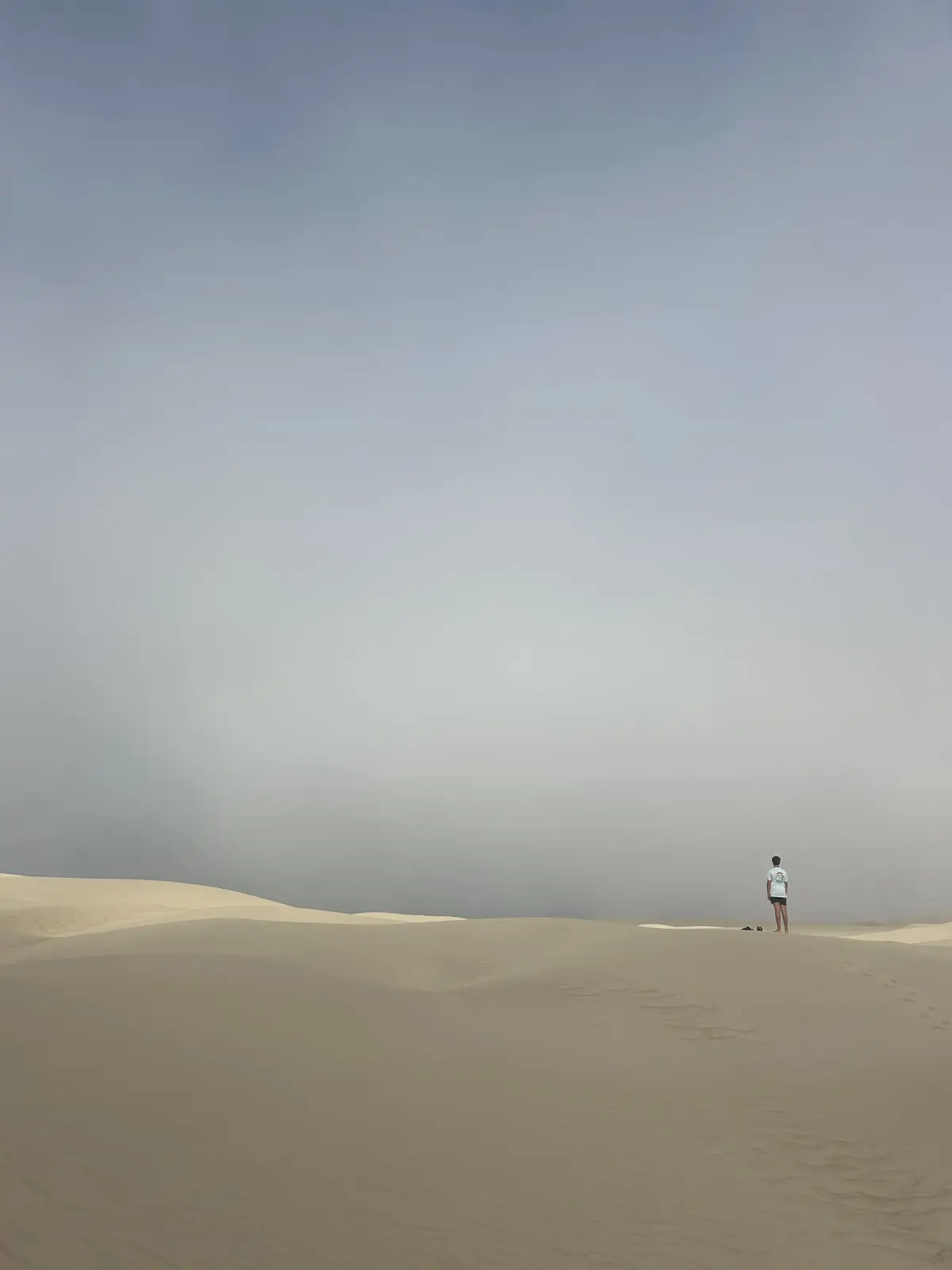 A young person standing alone on the crest of a wide sand dune, looking out into the mist.