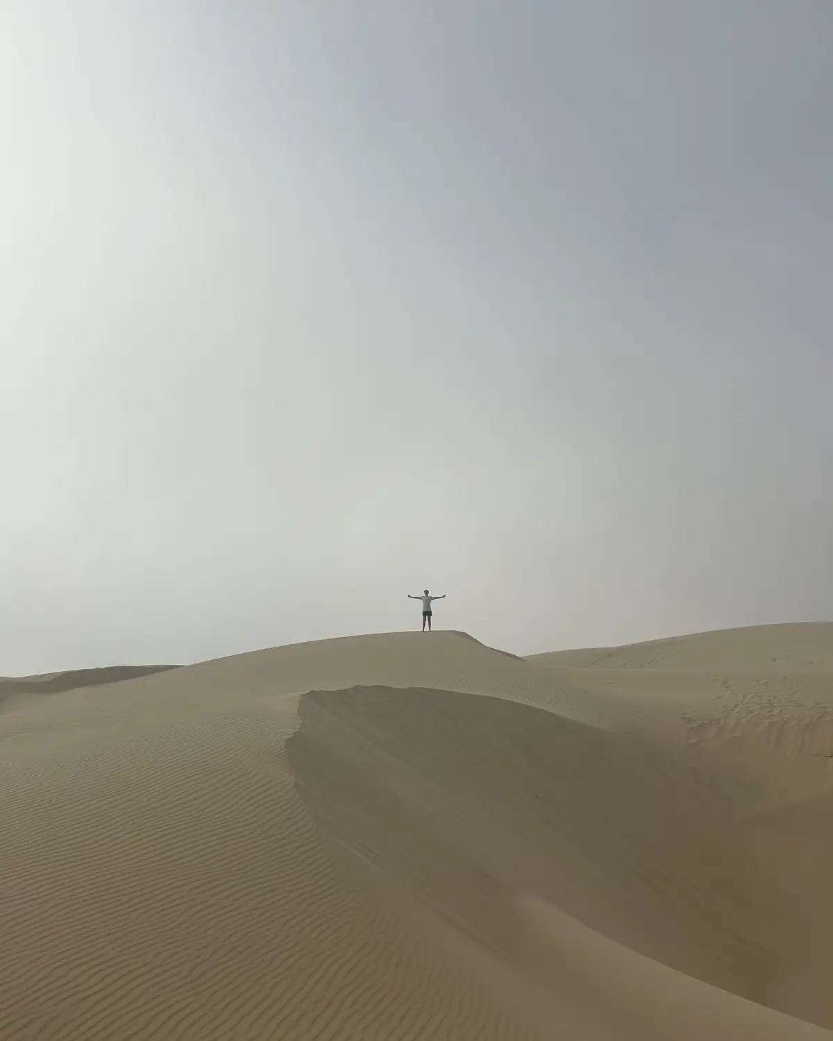 A child standing at the very top of a huge sand dune, arms stretched wide, against a pale sky.