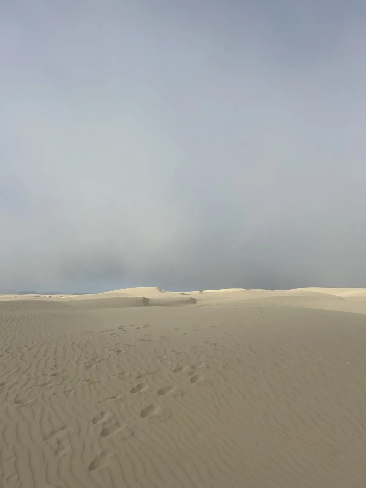 Small footprints leading across rippled sand dunes toward a soft, misty sky.