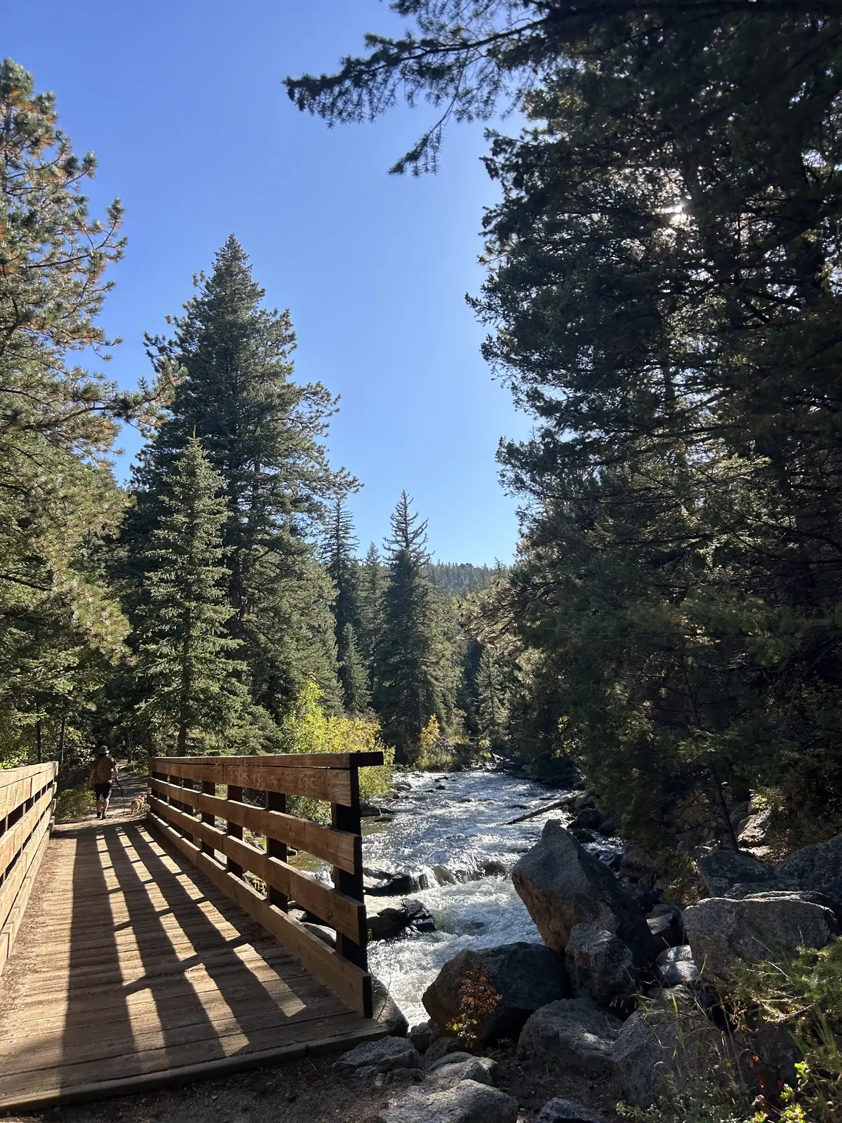 A wooden footbridge crossing a rushing mountain river, with tall pine trees and a bright blue sky.