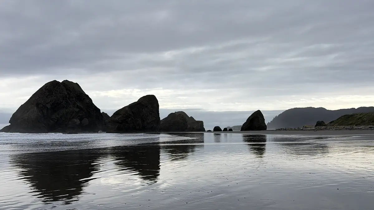 A row of tall sea rocks standing together on a wide, wet beach under a soft grey sky, their reflections in the sand.